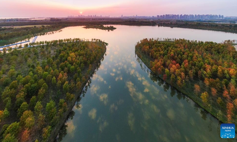 This aerial photo taken on Oct. 29, 2022 shows redwoods around the Chaohu Lake in Hefei City, east China's Anhui Province.

Hefei has five national wetland parks and three provincial wetland parks, with a wetland protection rate of 75 percent.

It was accredited on Nov. 10, 2022 by the Ramsar Convention as an international wetland city. (Photo by Wang Shibao/Xinhua)