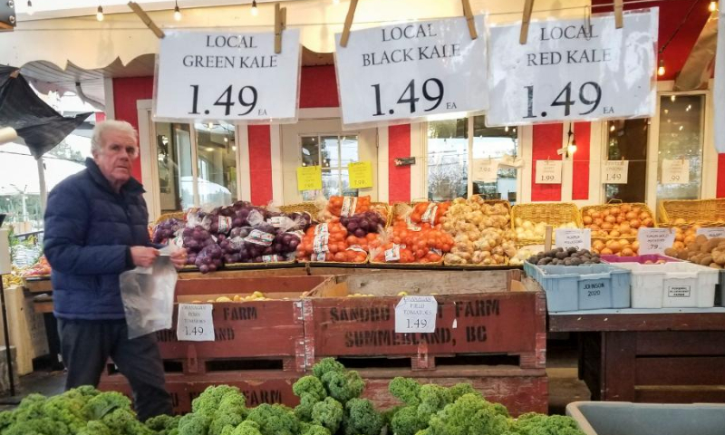 A customer shops at a supermarket in Mississauga, Ontario, Canada, on Nov. 16, 2022. Canada's consumer price index (CPI) rose 6.9 percent year over year in October, matching the increase in September, Statistics Canada said on Wednesday. Photo: Xinhua