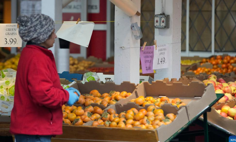 A customer shops at a supermarket in Mississauga, Ontario, Canada, on Nov. 16, 2022. Canada's consumer price index (CPI) rose 6.9 percent year over year in October, matching the increase in September, Statistics Canada said on Wednesday. Photo: Xinhua