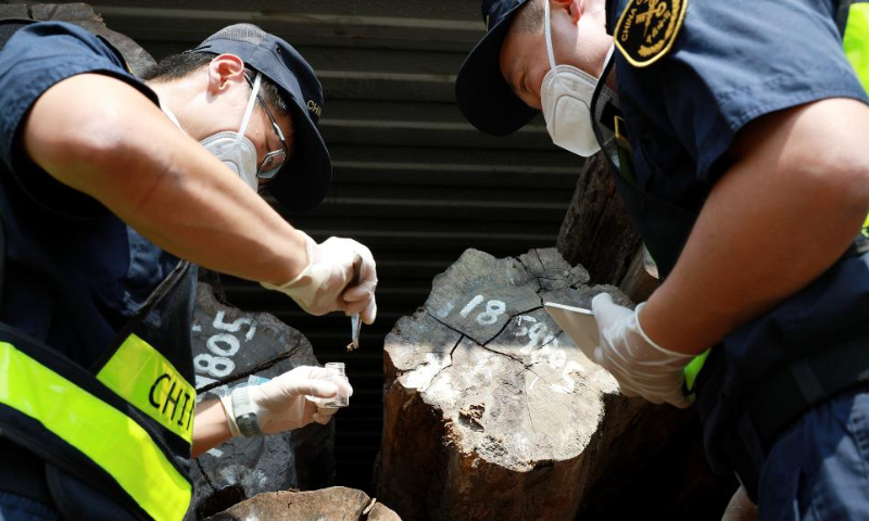 This file photo shows customs officials inspecting imported logs at Zhongshan Port in the city of Zhongshan, south China's Guangdong Province. Photo: Xinhua