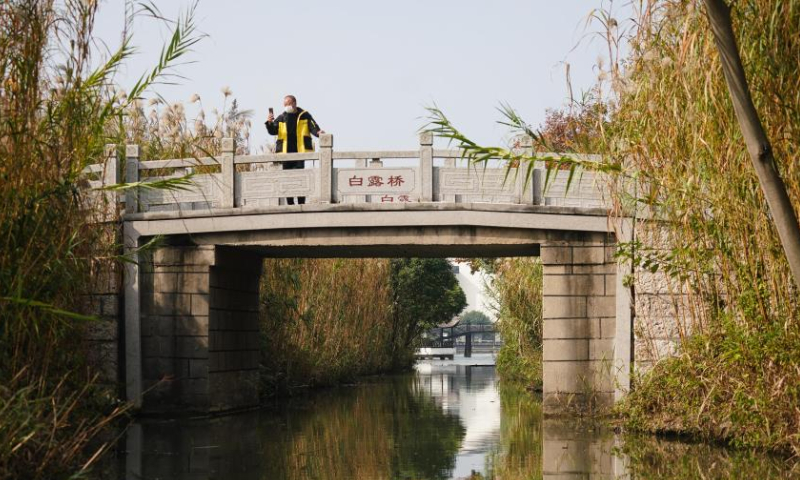 A man takes photos in the Shajiabang national wetland park in Changshu, east China's Jiangsu Province, Nov. 15, 2022.Photo: Xinhua