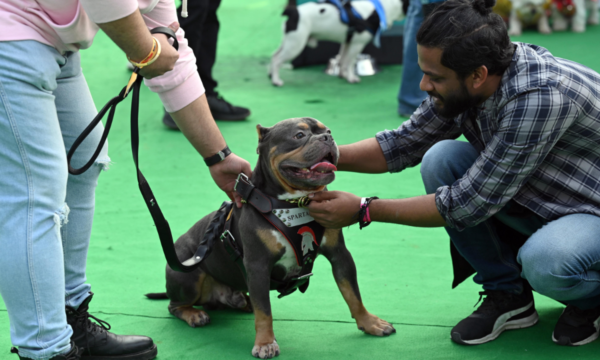 People and their pets take part in Pet Fed Delhi 2022, the biggest pet festival in India, at NSIC ground, Okhla, on December 18, 2022 in New Delhi, India. Photo: VCG
