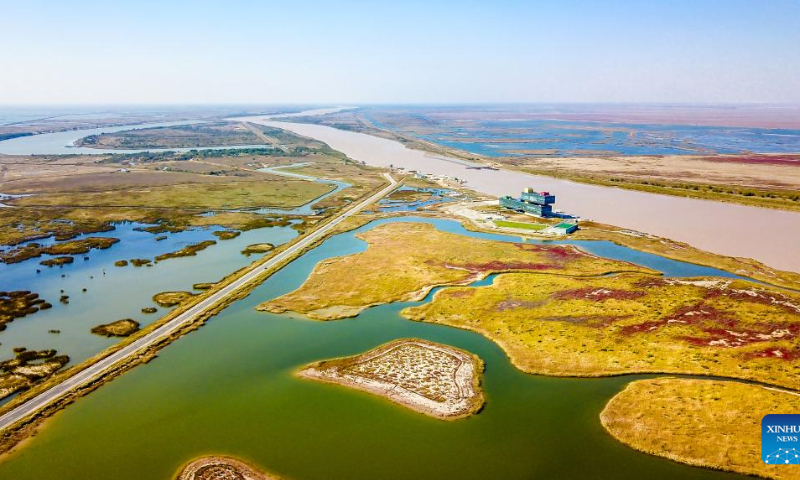 This aerial photo taken on Oct. 18, 2022 shows scenery at the Yellow River Delta National Nature Reserve in Dongying, east China's Shandong Province. Dongying was certified as an international wetland city in 2018. Photo: Xinhua