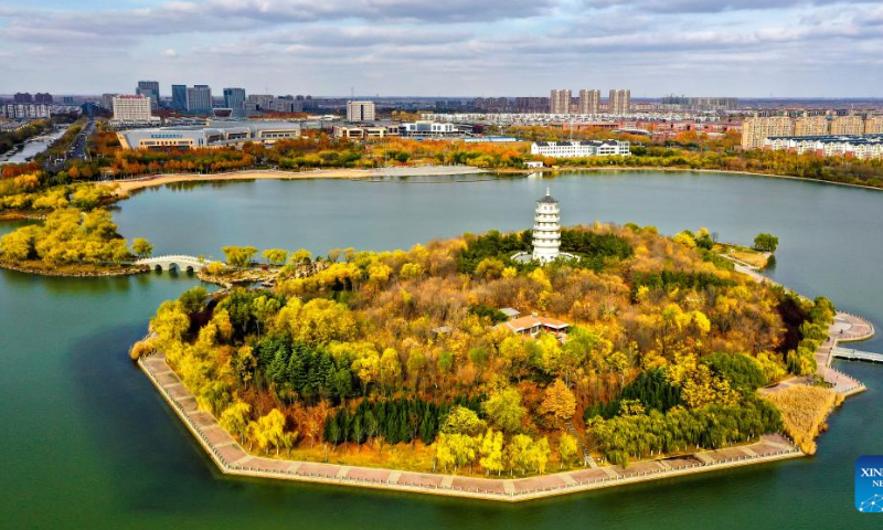 This aerial photo taken on Nov. 13, 2022 shows scenery at the Minfeng Lake park in Dongying, east China's Shandong Province. Dongying was certified as an international wetland city in 2018. Photo: Xinhua