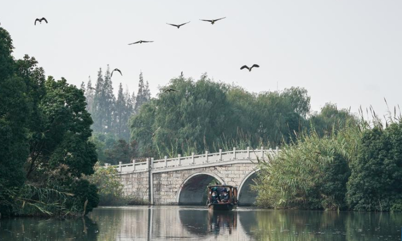 This photo taken on Nov. 15, 2022 shows a view of the Shajiabang national wetland park in Changshu, east China's Jiangsu Province. Photo: Xinhua