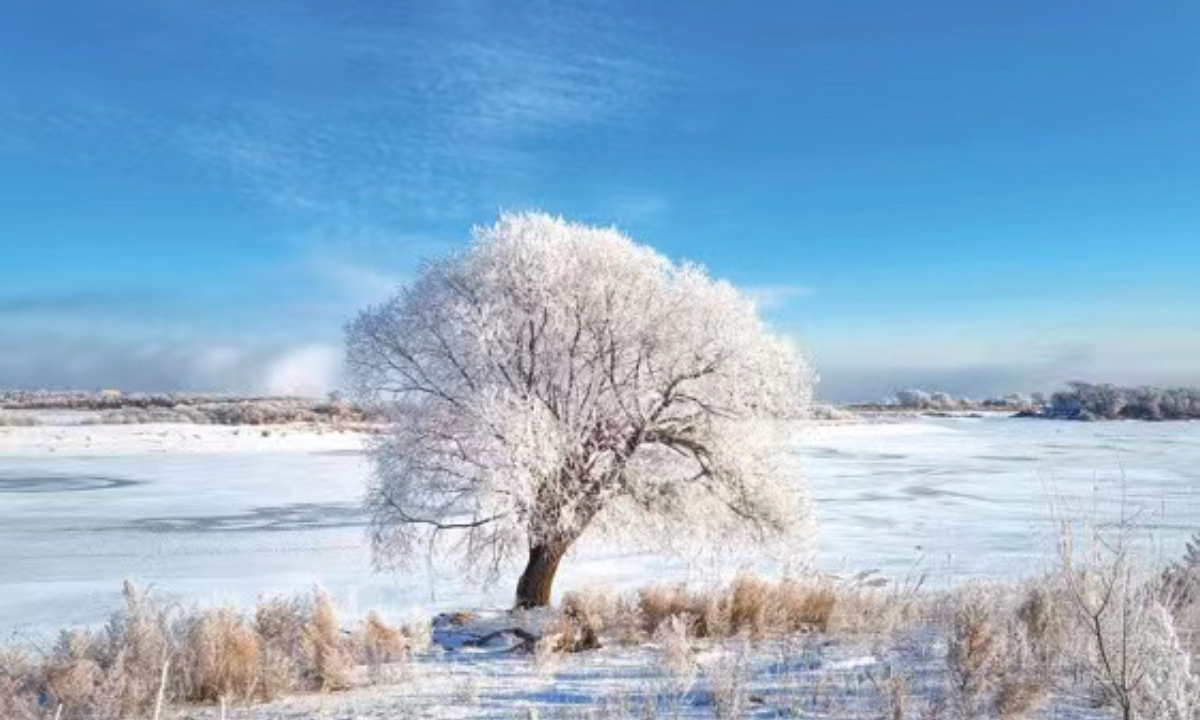 Rime is seen in Heihe, a border town in Northeast China’s Heilongjiang Province on November 23, 2022. Photo: IC