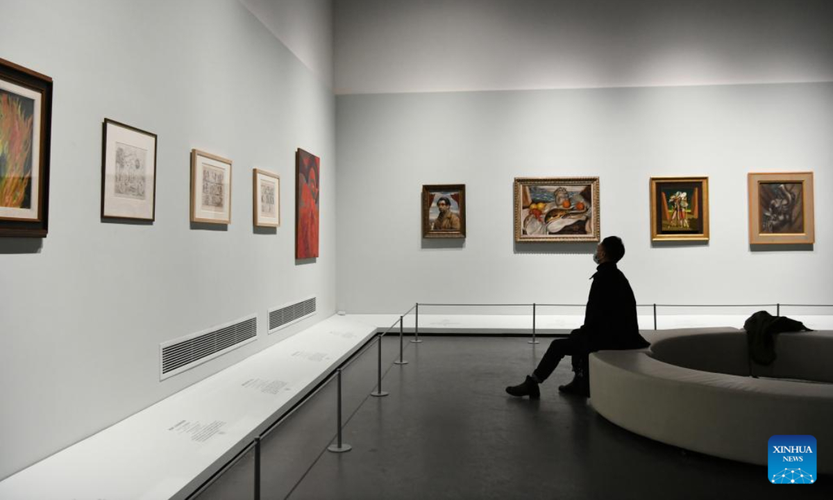 A visitor views exhibits at an exhibition of modern and contemporary European artworks in Chengdu Museum in Chengdu, southwest China's Sichuan Province, Nov 25, 2022. Photo:Xinhua