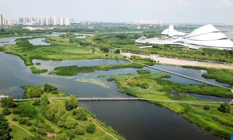 This aerial photo taken on July 1, 2020 shows a wetland park in Harbin, northeast China's Heilongjiang Province. Photo: Xinhua