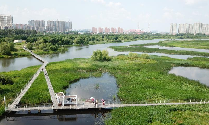 This aerial photo taken on July 1, 2020 shows a wetland park in Harbin, northeast China's Heilongjiang Province. Photo: Xinhua