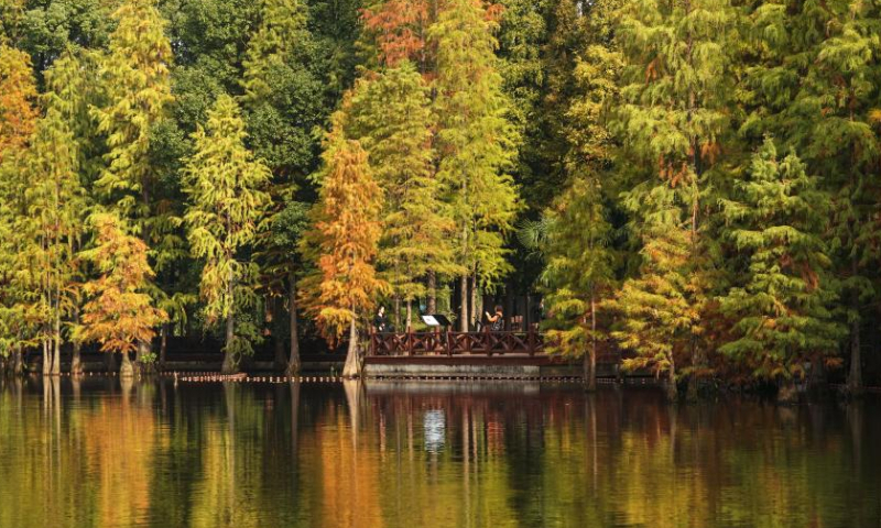 This photo taken on Nov. 15, 2022 shows a view of the Shanghu national urban wetland park in Changshu, east China's Jiangsu Province. Photo: Xinhua