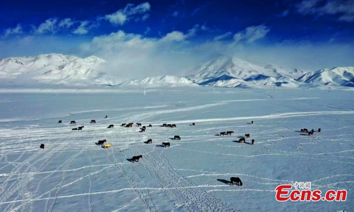 Snow-covered mountains embrace the bright, blue sky above the Bayanbulak grassland, Hejing County, Northwest China's Xinjiang Uyghur Autonomous Region. Photo:China News Service