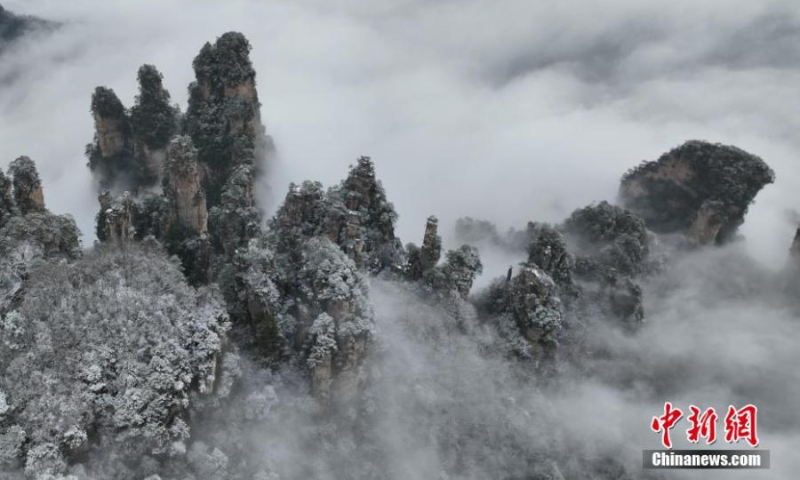 Rime covered Avatar mountain peaks are hidden in a sea of clouds at Tianzishan Scenic Area of Zhangjiajie, central China's Hunan Province, Jan. 1, 2023. (Photo: China News Service/Zhang Hongtao)