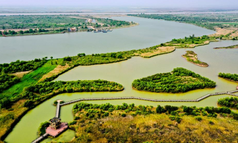 This aerial photo taken on May 13, 2021 shows scenery at the Yellow River Delta National Nature Reserve in Dongying, east China's Shandong Province. Dongying was certified as an international wetland city in 2018. Photo: Xinhua