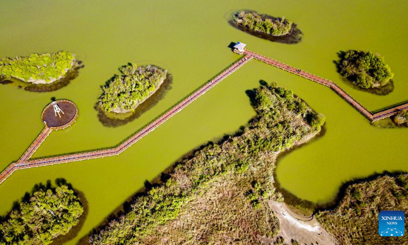 This aerial photo taken on Oct. 18, 2022 shows scenery at the Yellow River Delta National Nature Reserve in Dongying, east China's Shandong Province. Dongying was certified as an international wetland city in 2018. Photo: Xinhua