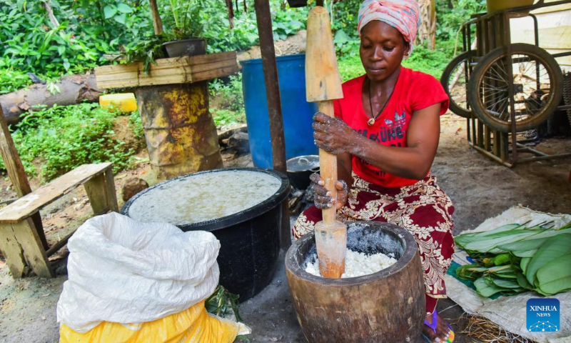 A woman pounds cassava tubers to make cassava sticks in a village in Mengong town of the South region, Cameroon, Nov. 16, 2022. Cassava, which can be processed into cassava flour or cassava stick, is an important traditional crop in Cameroon. (Photo by Kepseu/Xinhua)