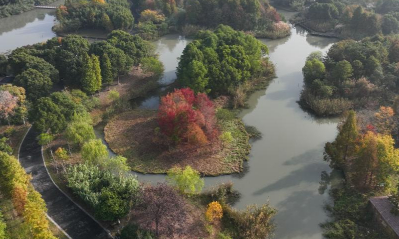 This aerial photo taken on Nov. 15, 2022 shows a view of the Shajiabang national wetland park in Changshu, east China's Jiangsu Province. Photo: Xinhua