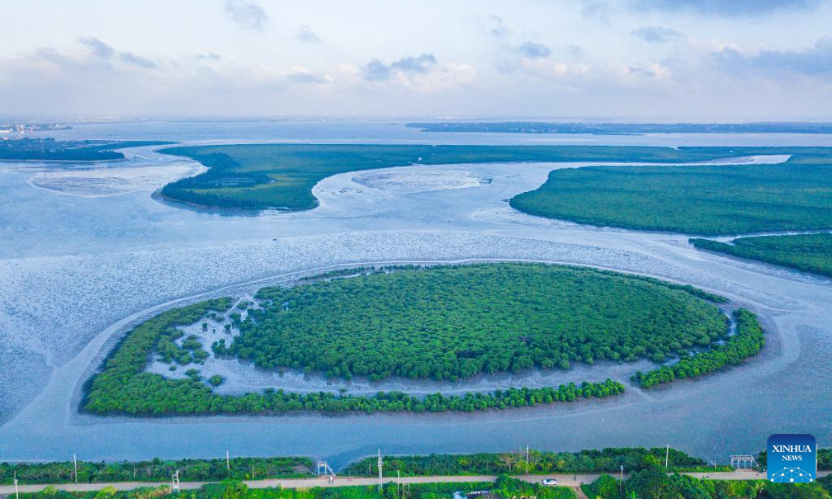 This aerial photo taken on Nov 15, 2022 shows the scenery of Dongzhaigang National Nature Reserve in Haikou, south China's Hainan Province. Haikou was accredited by the Ramsar Convention as an international wetland city in 2018. The wetland coverage rate of the city is about 12.7 percent. Photo:Xinhua