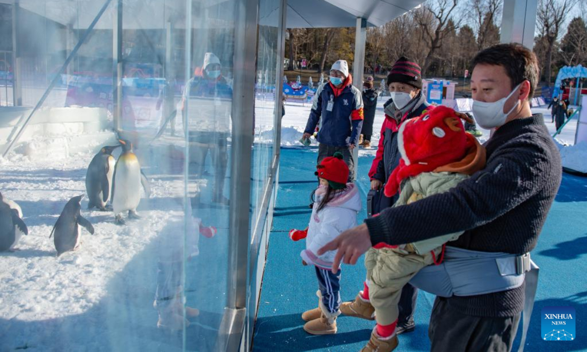 Visitors watch penguins at an ice and snow carnival at Taoranting park in Beijing, capital of China, Dec 28, 2022. Photo:Xinhua