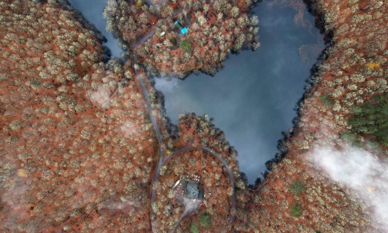 This aerial photo taken on Nov. 27, 2022 shows the autumn scenery of the Yedigoller National Park in Bolu, Türkiye. (Photo by Mustafa Kaya/Xinhua)