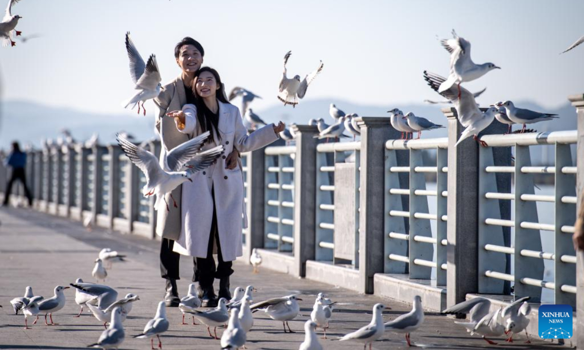 People feed black-headed gulls by the bank of Dianchi Lake in Kunming, southwest China's Yunnan Province, Nov 17, 2022. Photo:Xinhua