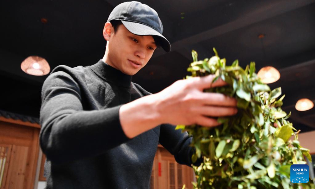 He Shi'an, an inheritor of Crumby-cake tea making technique, demonstrates the manual stir fixation technique of Wuyi rock tea in Wuyishan, southeast China's Fujian Province, Dec 1, 2022. Photo:Xinhua