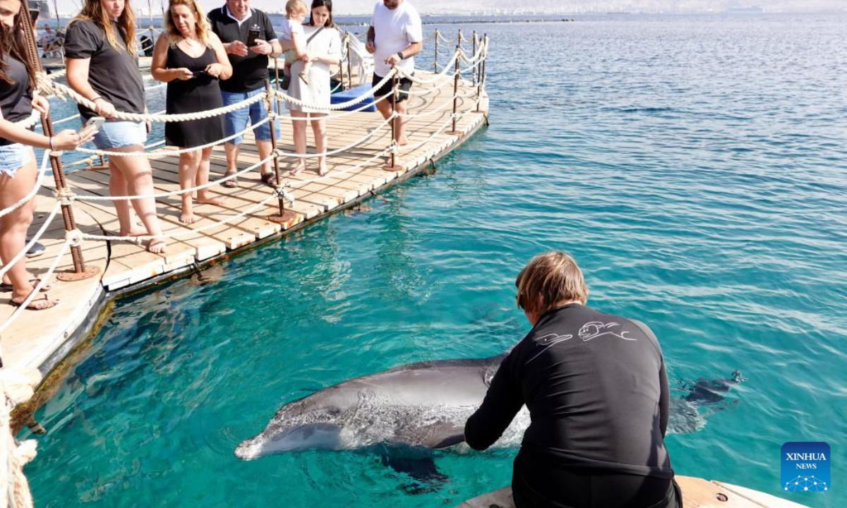 Advat Gal, a staff member of Dolphin Reef, interacts with a dolphin on the shores of the Red Sea in the southernmost Israeli city of Eilat, on Nov 21, 2022. Photo:Xinhua