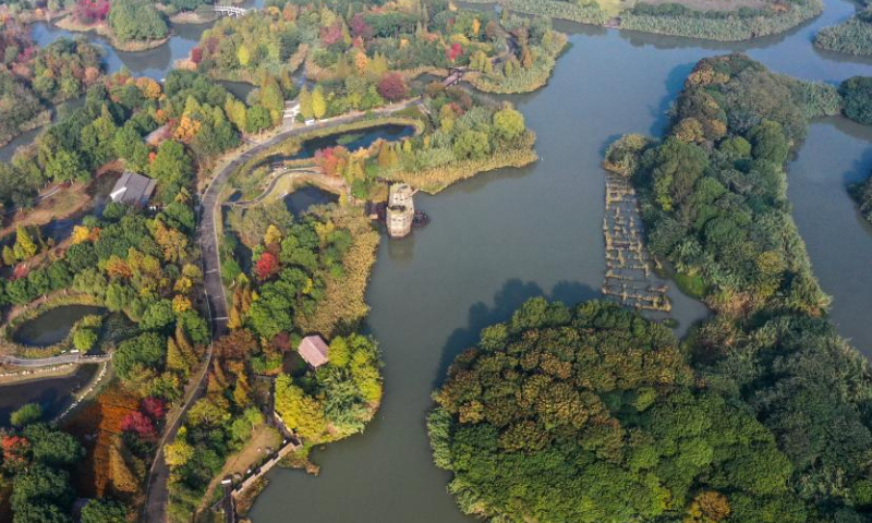 This photo taken on Nov. 15, 2022 shows a view of the Shajiabang national wetland park in Changshu, east China's Jiangsu Province. Photo: Xinhua