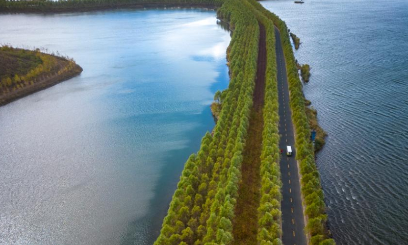 This aerial photo taken on Oct. 4, 2022 shows the Hulan River estuary wetland park in Harbin, northeast China's Heilongjiang Province. Photo: Xinhua