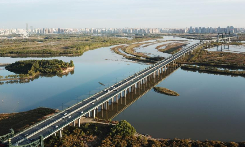 This aerial photo taken on Sept. 26, 2022 shows the Yangmingtan Bridge and the surrounding wetlands in Harbin, northeast China's Heilongjiang Province. Photo: Xinhua