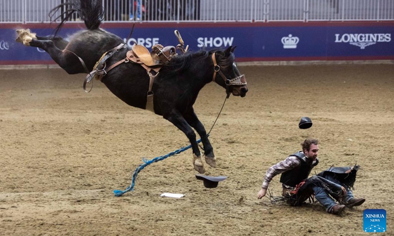 Cowboy Chad Garbiar Fort falls from his horse during the Saddle Broncos competition of the Rodeo section at the 2022 Royal Horse Show in Toronto, Canada, Nov. 13, 2022. More than twenty cowboys from across Canada took part in this annual traditional competition on Sunday. (Photo by Zou Zheng/Xinhua)