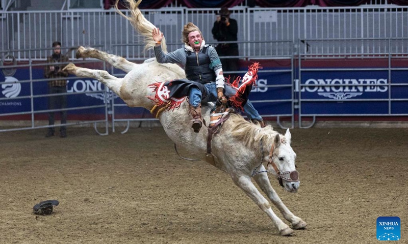 Cowboy Chase Park competes during the Bareback Broncos competition of the Rodeo section at the 2022 Royal Horse Show in Toronto, Canada, Nov. 13, 2022. More than twenty cowboys from across Canada took part in this annual traditional competition on Sunday. (Photo by Zou Zheng/Xinhua)