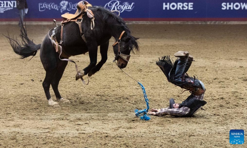 Cowboy Chad Garbiar Fort falls from his horse during the Saddle Broncos competition of the Rodeo section at the 2022 Royal Horse Show in Toronto, Canada, Nov. 13, 2022. More than twenty cowboys from across Canada took part in this annual traditional competition on Sunday. (Photo by Zou Zheng/Xinhua)