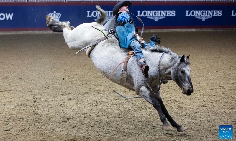 Cowboy Justin Carrier competes during the Bareback Broncos competition of the Rodeo section at the 2022 Royal Horse Show in Toronto, Canada, Nov. 13, 2022. More than twenty cowboys from across Canada took part in this annual traditional competition on Sunday. (Photo by Zou Zheng/Xinhua)