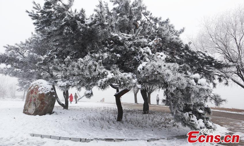 Crystal-clear icicles hang on trees along the banks of Songhua River, covering the landscape in a palette of silver and white, a typical but unique winter scene in Jilin City, northeast China's Jilin Province, Nov. 15, 2022. (Photo: China News Service/Cang Yan)

