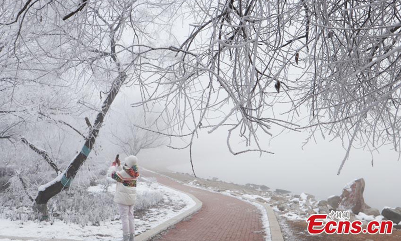 Crystal-clear icicles hang on trees along the banks of Songhua River, covering the landscape in a palette of silver and white, a typical but unique winter scene in Jilin City, northeast China's Jilin Province, Nov. 15, 2022. (Photo: China News Service/Cang Yan)
