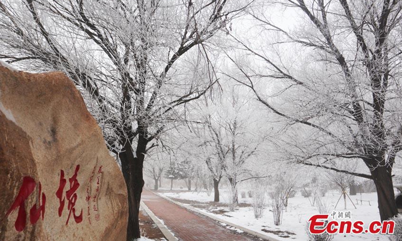 Crystal-clear icicles hang on trees along the banks of Songhua River, covering the landscape in a palette of silver and white, a typical but unique winter scene in Jilin City, northeast China's Jilin Province, Nov. 15, 2022. (Photo: China News Service/Cang Yan)

