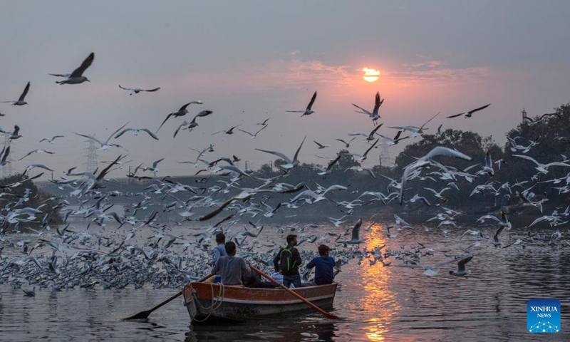 People take a boat ride as migratory birds fly over the Yamuna River in New Delhi, India, Nov. 15, 2022. (Xinhua/Javed Dar)