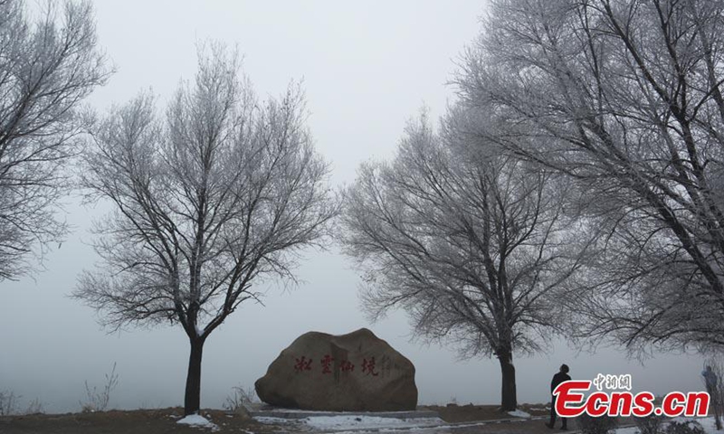 Crystal-clear icicles hang on trees along the banks of Songhua River, covering the landscape in a palette of silver and white, a typical but unique winter scene in Jilin City, northeast China's Jilin Province, Nov. 15, 2022. (Photo: China News Service/Cang Yan)

