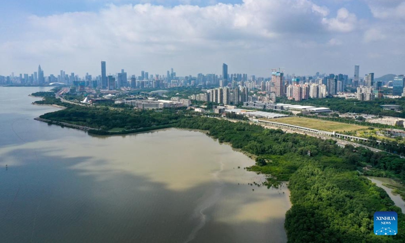 This aerial photo taken on Nov. 11, 2022 shows a mangrove forest along the coastal area of the Shenzhen Bay in Shenzhen, south China's Guangdong Province. (Xinhua/Liang Xu)