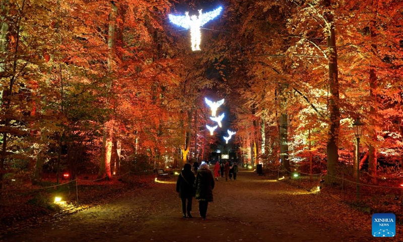 Visitors walk past light decorations during the Christmas Garden Berlin light show at the Botanical Garden in Berlin, Germany, Nov. 16, 2022. The Christmas Garden Berlin kicked off on Wednesday here and will last until Jan. 15, 2023. (Photo by Stefan Zeitz/Xinhua)