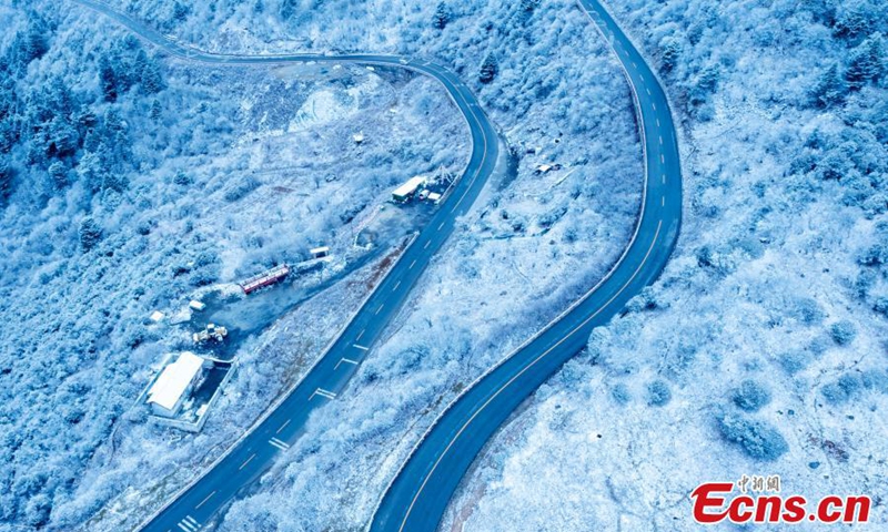 Trees are covered with white rime, creating a spectacular scenery in Wolong Nature Reserve in Wenchuan County, southwest China's Sichuan Province, Nov. 28, 2022. (Photo provided to China News Service)


