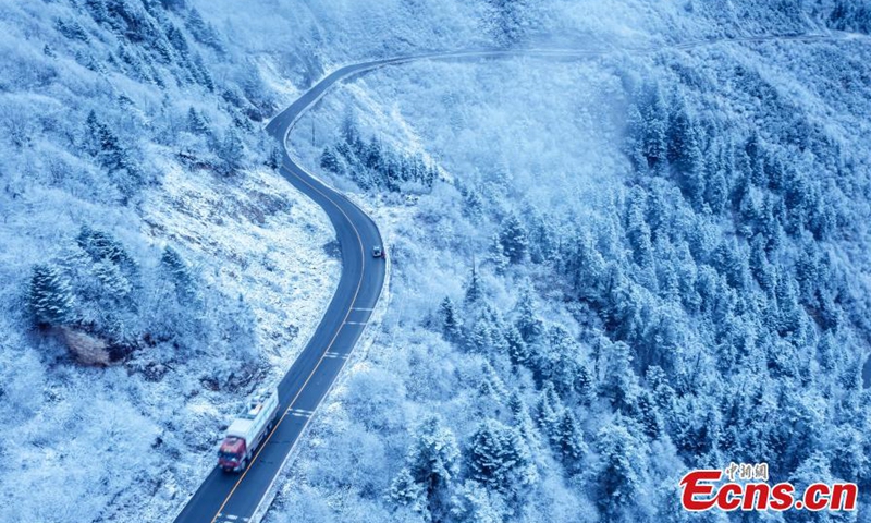 Trees are covered with white rime, creating a spectacular scenery in Wolong Nature Reserve in Wenchuan County, southwest China's Sichuan Province, Nov. 28, 2022. (Photo provided to China News Service)
