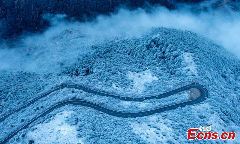 Trees are covered with white rime, creating a spectacular scenery in Wolong Nature Reserve in Wenchuan County, southwest China's Sichuan Province, Nov. 28, 2022. (Photo provided to China News Service)



