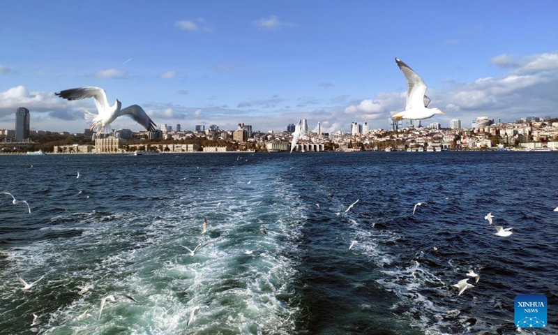 This photo taken on Nov. 27, 2022 shows seagulls flying over the Bosporus Strait in Istanbul, Türkiye.(Photo: Xinhua)