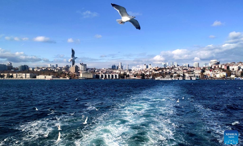 This photo taken on Nov. 27, 2022 shows seagulls flying over the Bosporus Strait in Istanbul, Türkiye.(Photo: Xinhua)