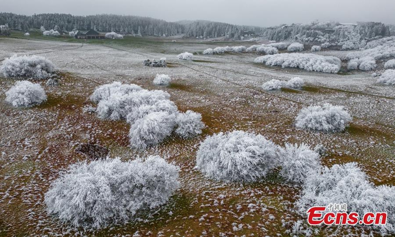 Trees are decorated with rime on Fairy Mountain in Chongqing, turning the mountain range a winter wonderland. (Photo: China News Service/Wang Junjie)