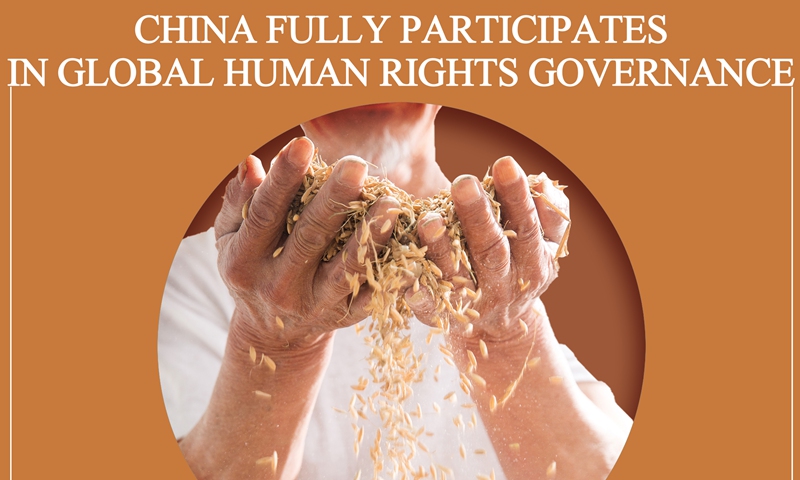 China fully participates in global human rights governance: report Graphic: Xu Zihe/GT