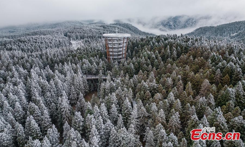 Trees are decorated with rime on Fairy Mountain in Chongqing, turning the mountain range a winter wonderland. (Photo: China News Service/Wang Junjie)