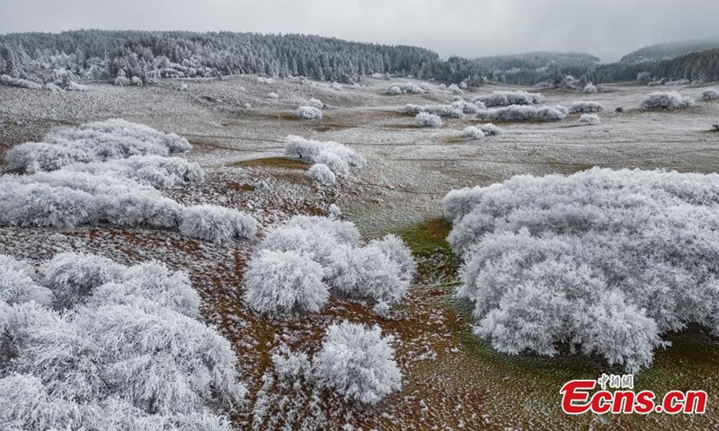 Trees are decorated with rime on Fairy Mountain in Chongqing, turning the mountain range a winter wonderland. (Photo: China News Service/Wang Junjie)