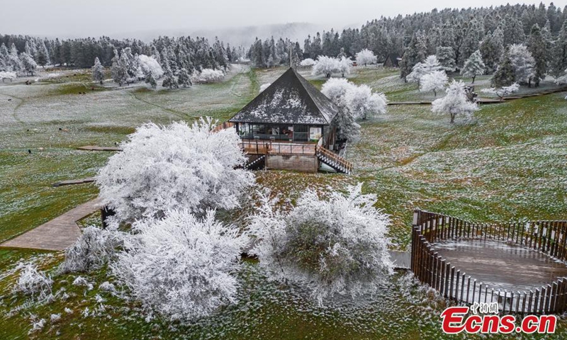 Trees are decorated with rime on Fairy Mountain in Chongqing, turning the mountain range a winter wonderland. (Photo: China News Service/Wang Junjie)